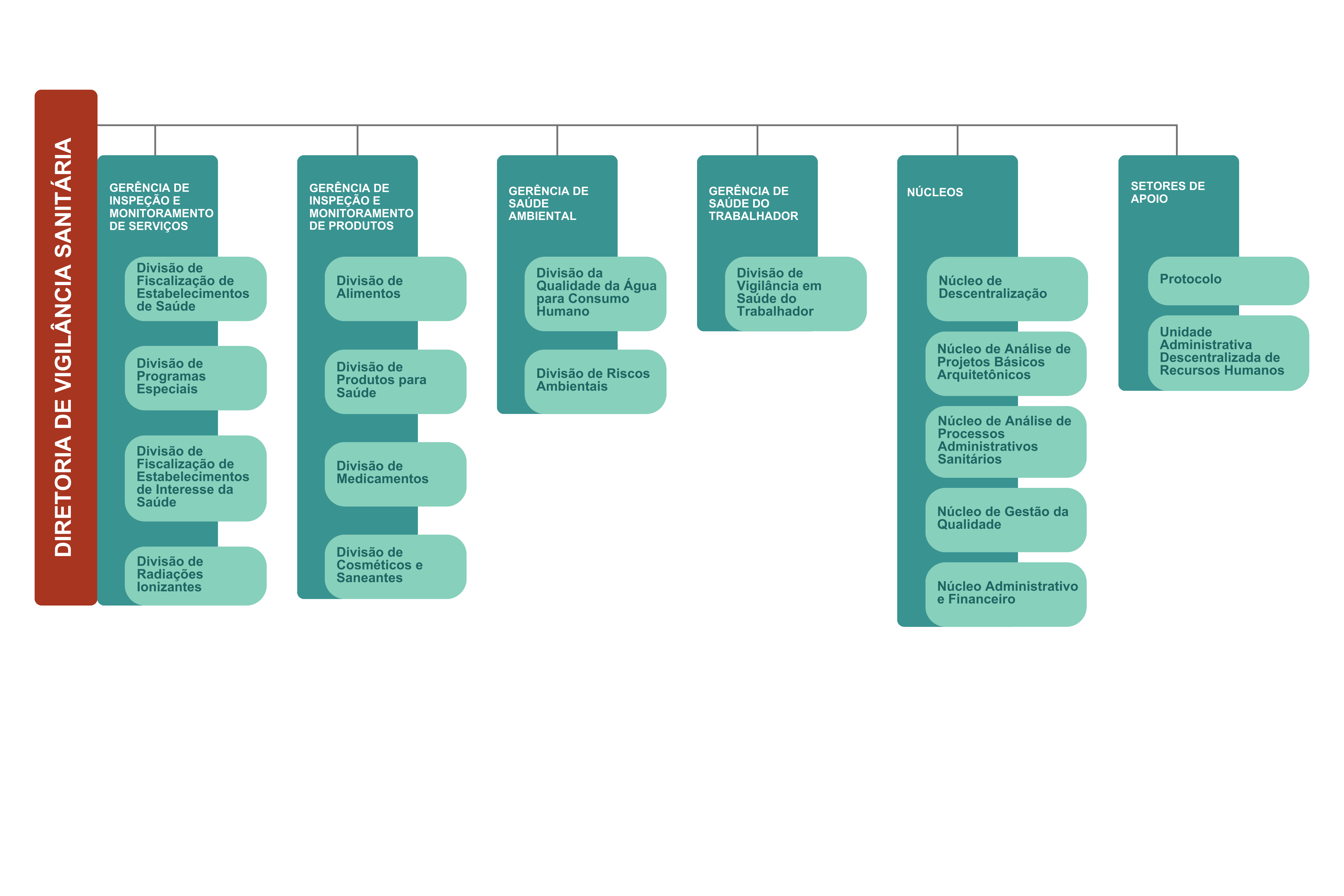 Organograma da Diretoria de Vigilância Sanitária. A estrutura apresenta seis áreas principais: Gerência de Inspeção e Monitoramento de Serviços, com as divisões de Fiscalização de Estabelecimentos de Saúde, Programas Especiais, Fiscalização de Estabelecimentos de Interesse da Saúde e Radiações Ionizantes; Gerência de Inspeção e Monitoramento de Produtos, com as divisões de Alimentos, Produtos para Saúde, Medicamentos e Cosméticos e Saneantes; Gerência de Saúde Ambiental, com as divisões de Qualidade da Água para Consumo Humano e Riscos Ambientais; Gerência de Saúde do Trabalhador, com a Divisão de Vigilância em Saúde do Trabalhador; Núcleos, incluindo Descentralização, Análise de Projetos Básicos Arquitetônicos, Análise de Processos Administrativos Sanitários, Gestão da Qualidade e Administrativo e Financeiro; e Setores de Apoio, com Protocolo e Unidade Administrativa Descentralizada de Recursos Humanos.