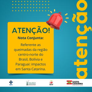 Santa Catarina enfrenta queda na qualidade do ar devido à fumaça transportada por ventos em altitude