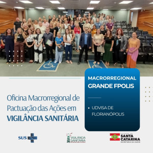 DIVS encerra ciclo estadual de Oficinas Macrorregionais de Pactuação em Vigilância Sanitária